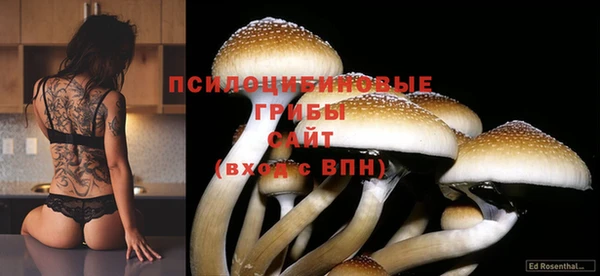 меф Покачи