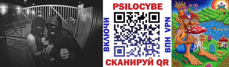 Галлюциногенные грибы Psilocybine cubensis  darknet официальный сайт  Светлый 